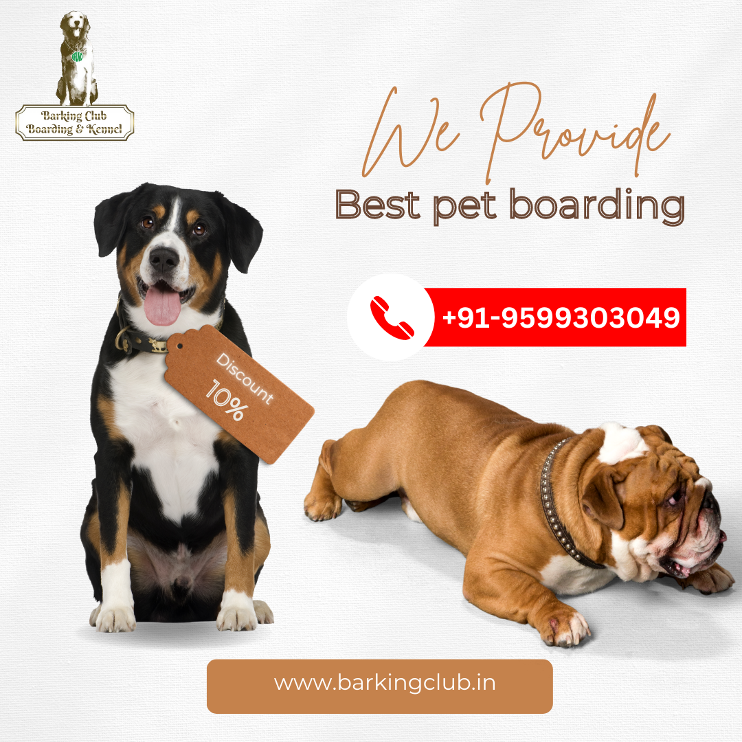 barking club greater noida