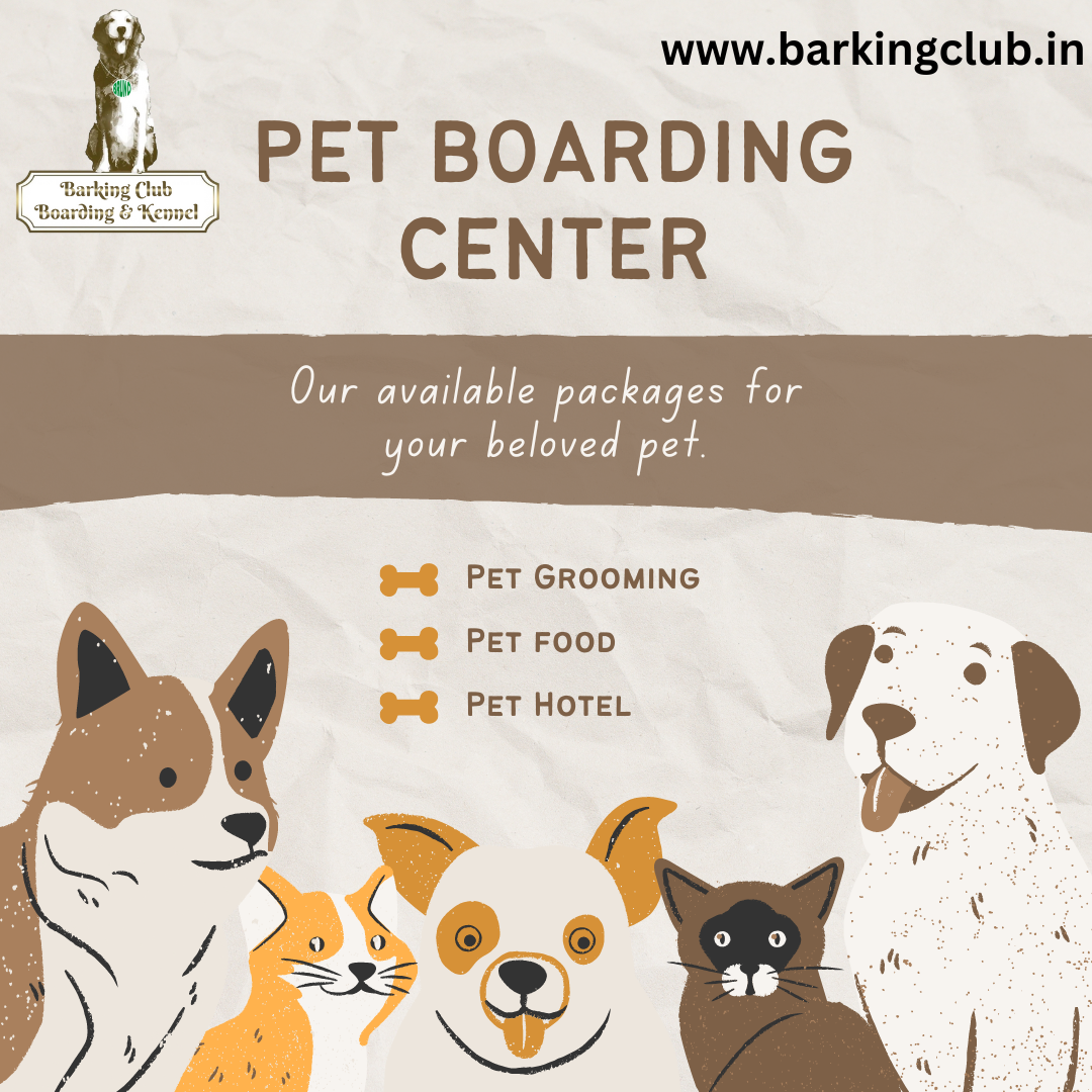 barkingclub