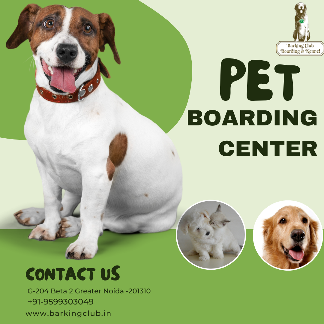 pet boarding center