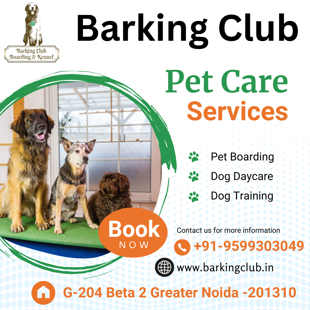 Best Pet Care Service in Greater Noida.