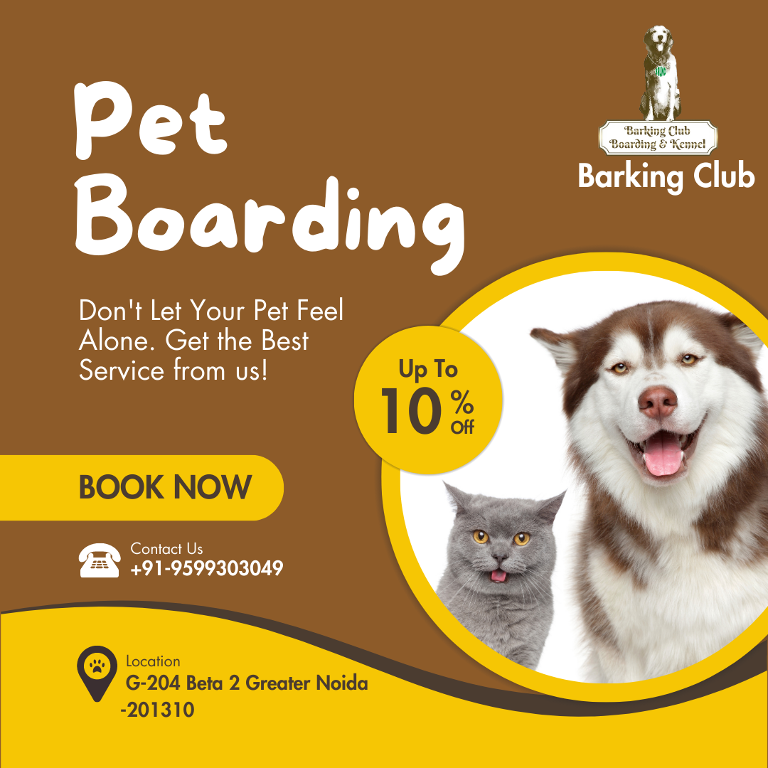 Best pet boarding center in Greater Noida