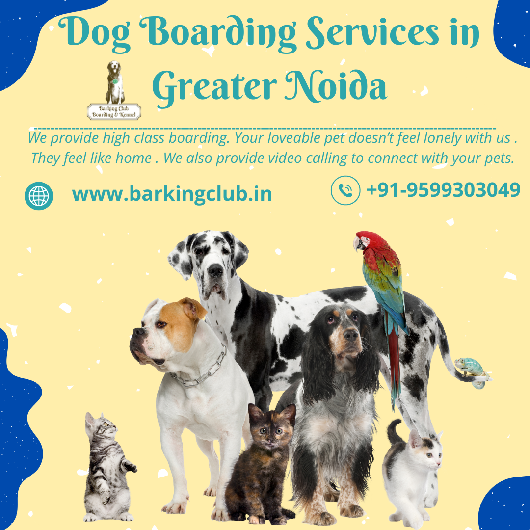 Dog boarding service in greater noida