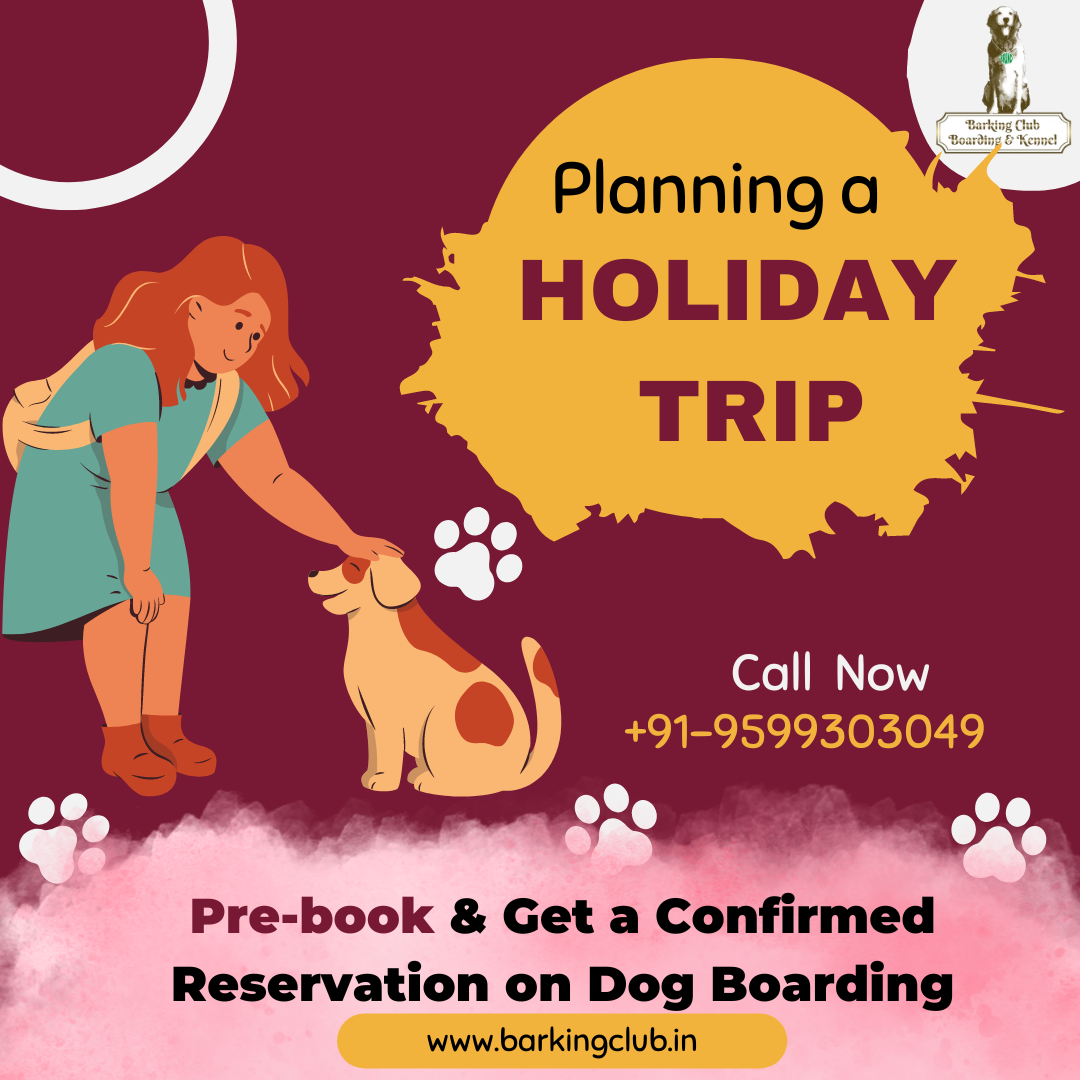 Pre-book & Get a Confirmed Reservation on Dog Boarding