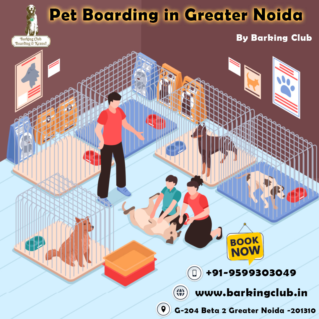 Pet Boarding Servicr in Grearer Noida