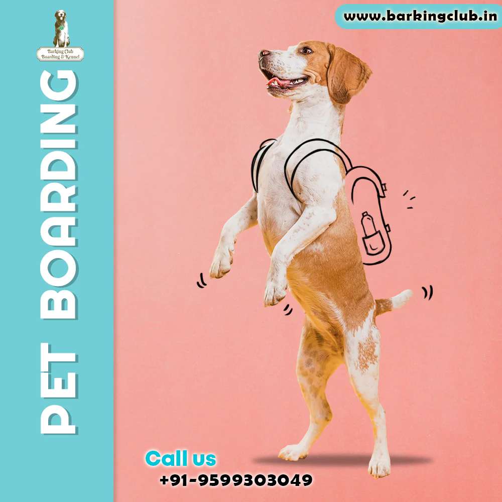 Pet boarding with training in greater noida.