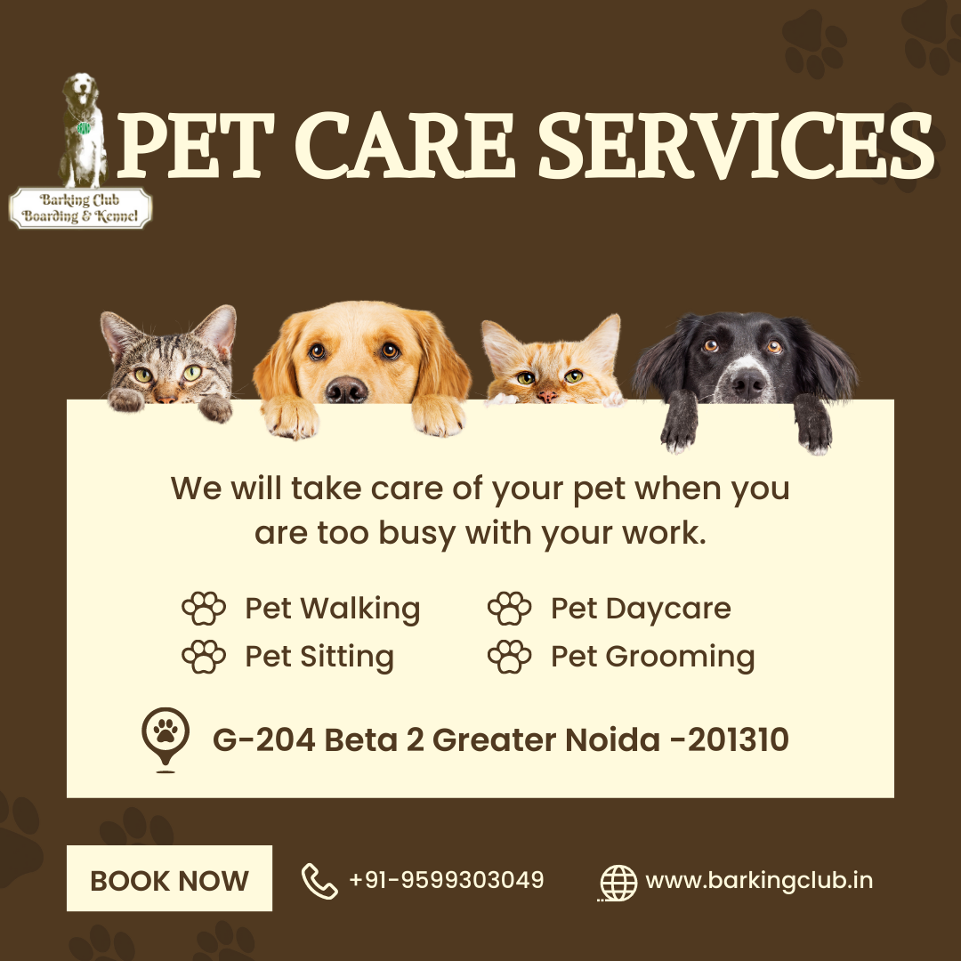 pet care service in Greater Noida