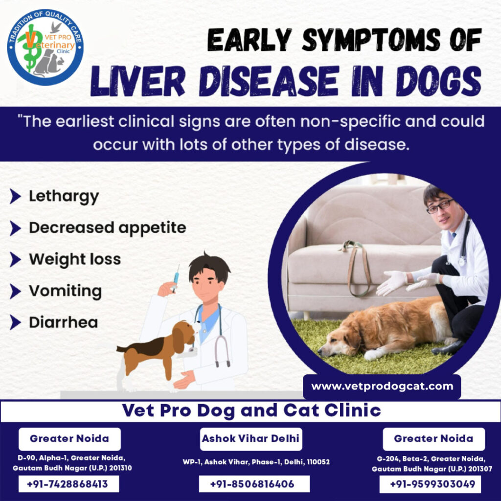 early-symptoms-of-liver-disease-in-dogs