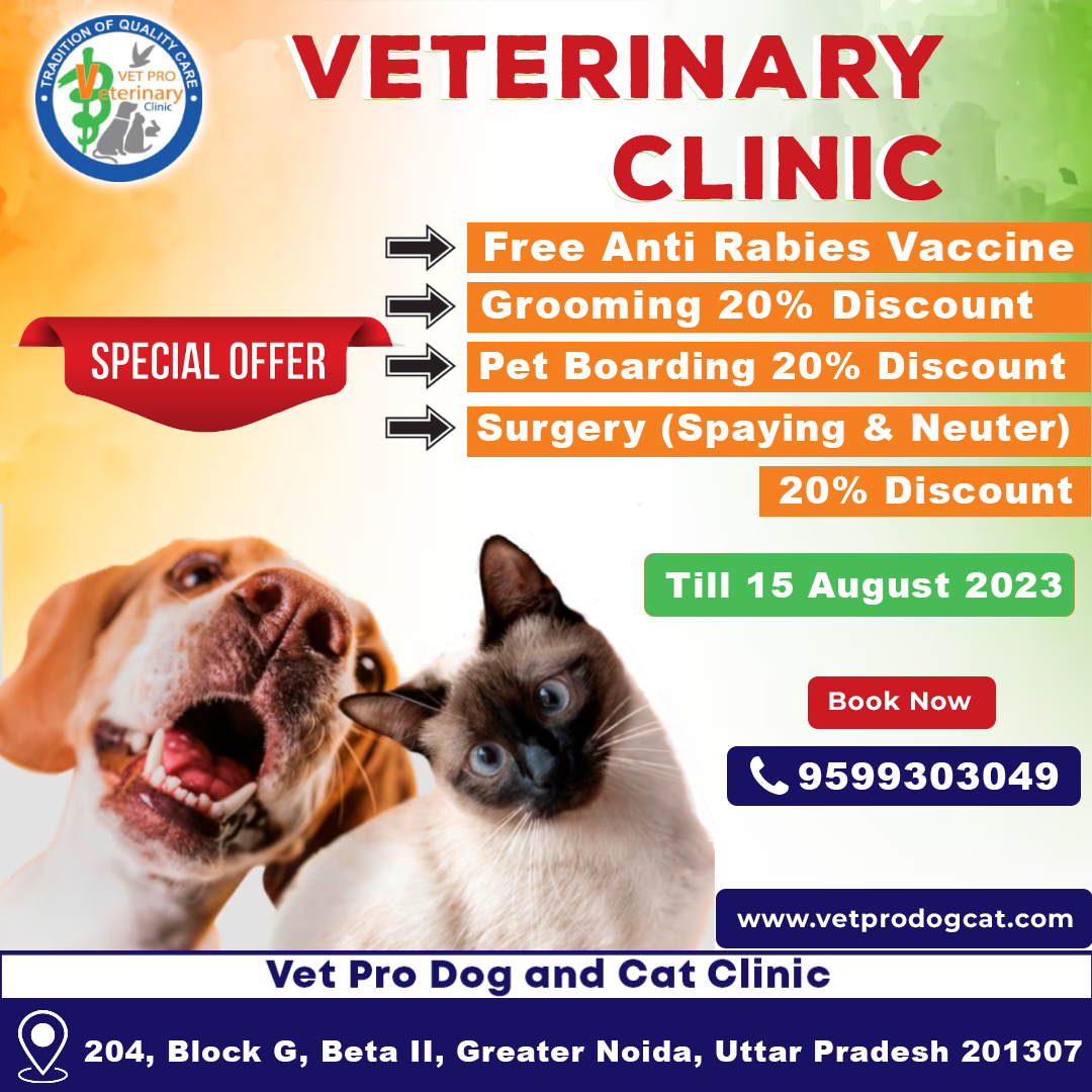 Free Anti Rabies Vaccine in Greater Noida